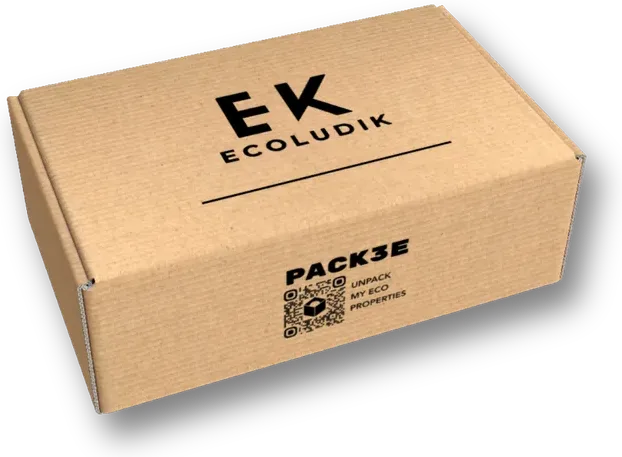 Carton Pack2E EcoludiK